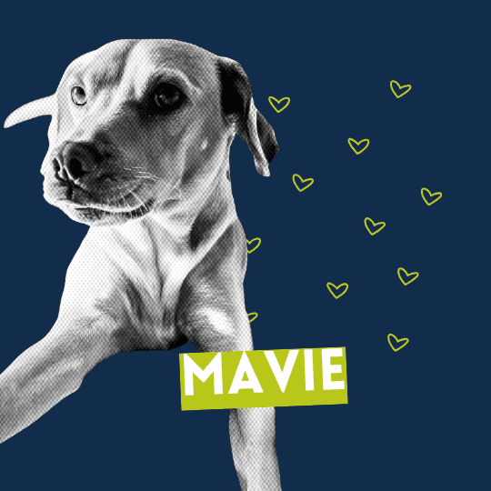 Mavie Über uns