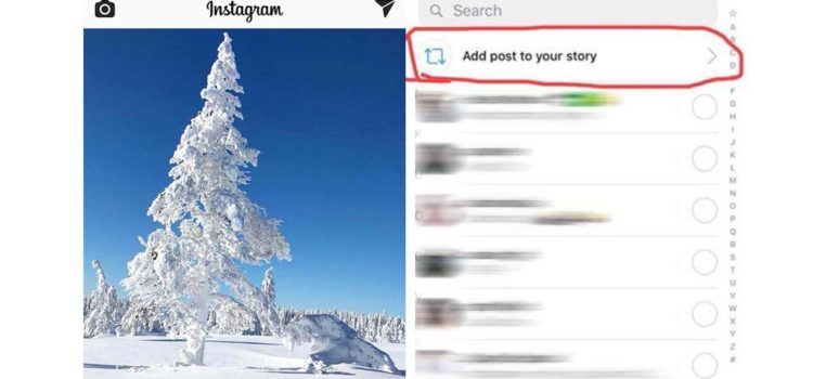 Instagram Teilen-Funktion für Beiträge | Shares in Story Instagram Teilen-Funktion für Beiträge | Shares in Story